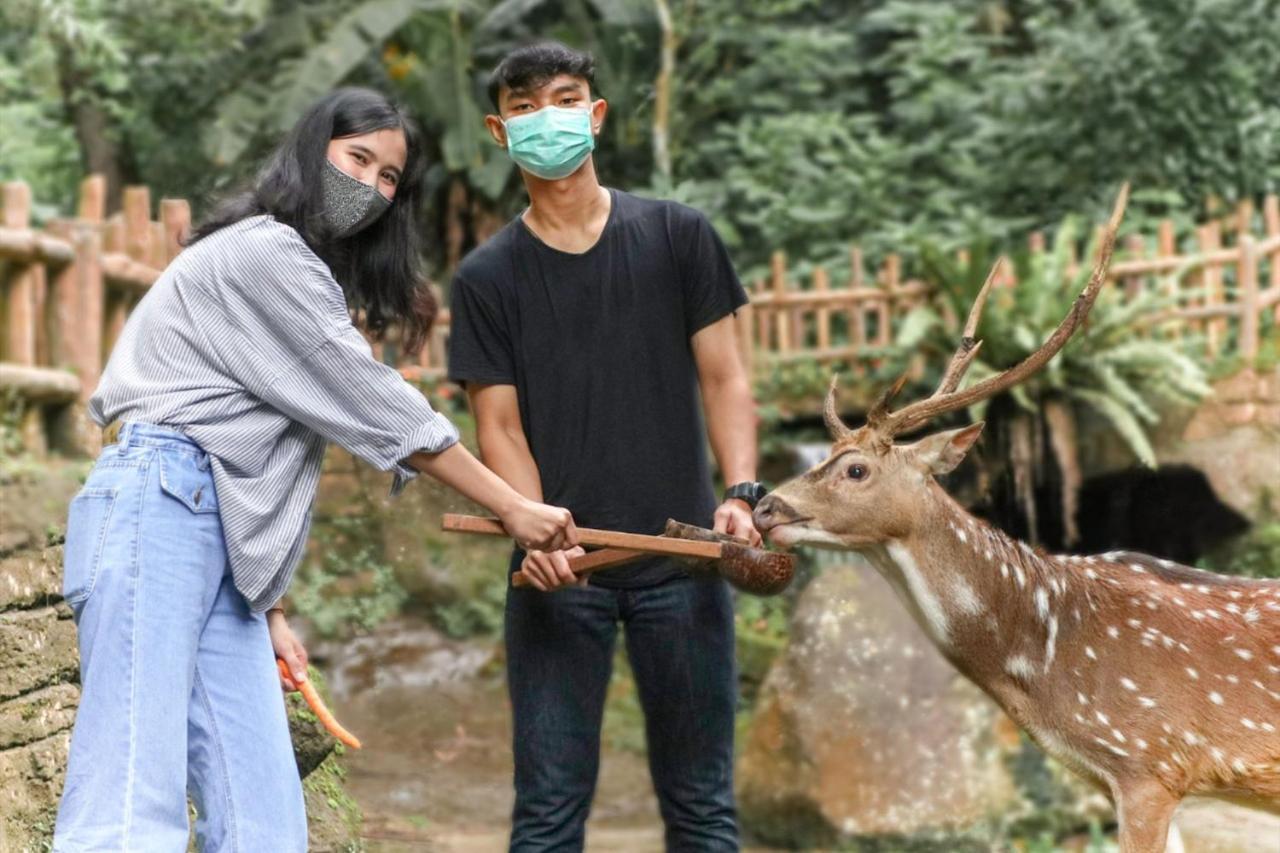 Safari Resort Puncak Luaran gambar